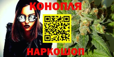 spice Обнинск