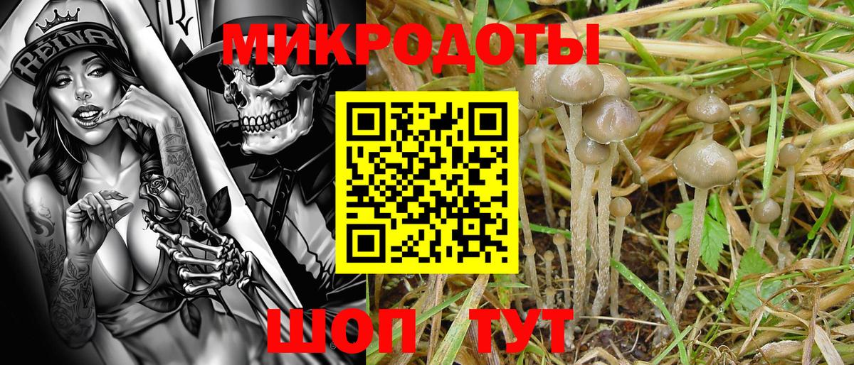 Галлюциногенные грибы ЛСД Рузаевка