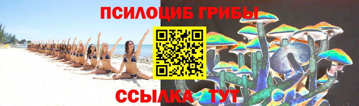 Рузаевка  Псилоцибиновые грибы мухоморы  Вход с VPN 